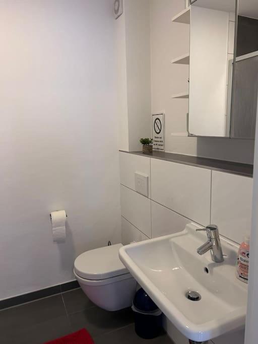 Apartment Mondorf - Klein Aber Fein Zwischen Bonn & Koeln Niederkassel